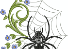 SDS0446 Spider